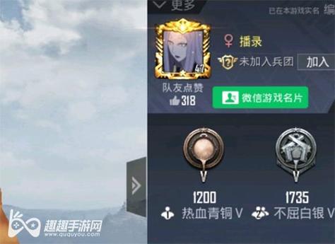 和平精英辅助【小飞侠】